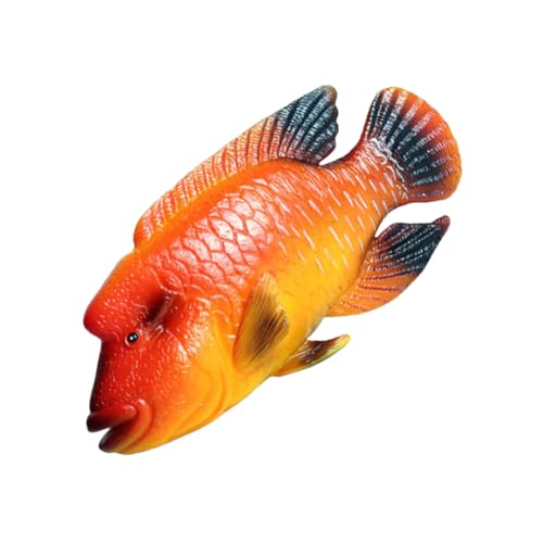 Gogogmee Realistisches Humphead Wrasse Modell aus Hochwertigem Kunststoff Detailgetreue Simulation Meerestier Pädagogisches Kinderspielzeug und Aquarium Dekoration Robust und Sicher für von Gogogmee