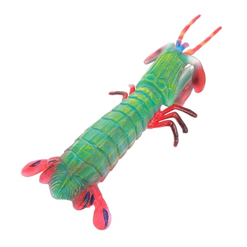 Gogogmee Realistisches Mantis Shrimp Modell Detailgetreues Meeres Tier Kleines Kognitives Lernmodell für Realistische Garnelenfigur Pädagogisches Meerestier Lernspielzeug von Gogogmee
