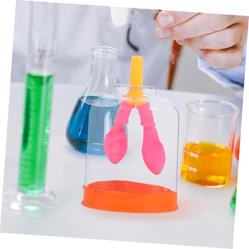 Gogogmee Realistisches Menschliches Lungenmodell für Unterricht und Simuliert Natürliche Atembewegungen Fördert Verständnis der Lungenfunktion für Schul und Laboranwendungen von Gogogmee