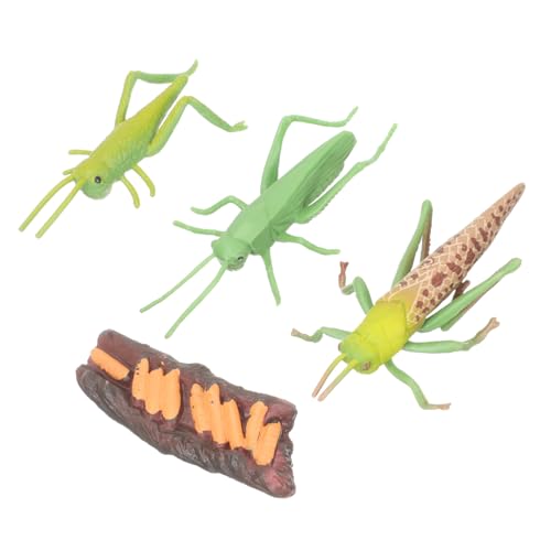 Gogogmee Realistisches Tierwachstumszyklus Modell Montessori Lernspielzeug für Pädagogisch Langlebig Detailgetreu für Vorschule und Naturkundeunterricht von Gogogmee