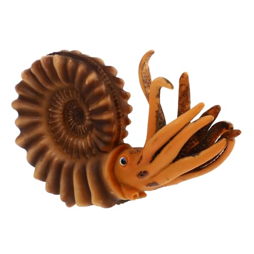 Gogogmee Simulation Tierfigur Nautilus Kognitive Leichtes Sicheres Kunststoffmodell als Lernspielzeug und Dekoration für Mädchen und Jungen Ab Jahren von Gogogmee