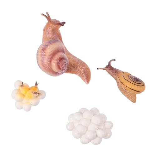Gogogmee Simulierte Tiermodelle Lebenszyklus Lernspielzeug aus Kunststoff Nachhaltig Pädagogisch Sicher für Lehrmittel und Dekoration von Gogogmee