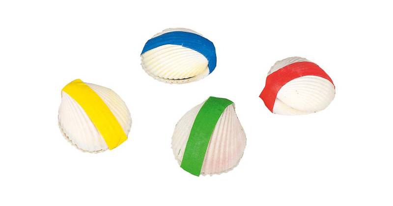 Wundermuschel 4er-Set, Ø 4 cm bunt von Goki