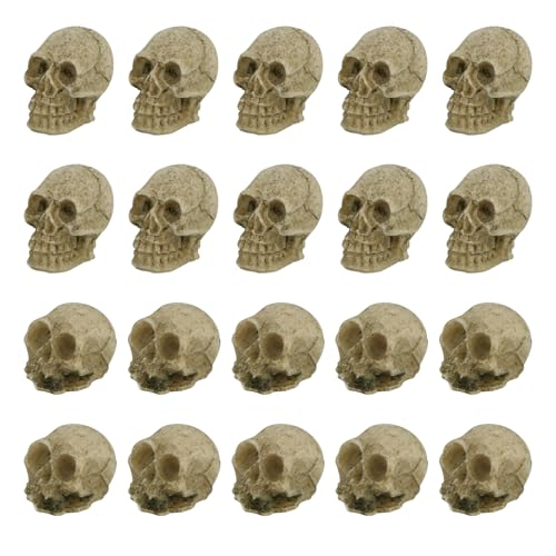 Goktvai 20stk Mini-Totenkopffiguren, Halloween Miniatur Skelettkopf Tischdekoration Mikro Landschaft Dekor Streich Requisiten für Halloween Spuk Puppenhaus Zubehör Goktvai 20stk Mini-Totenkopffiguren, Halloween Miniatur Skelettkopf Tischdekoration Mikro Landschaft Dekor Streich Requisiten für Halloween Spuk Puppenhaus Zubehör von Goktvai