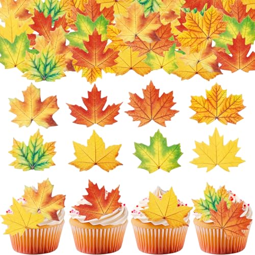GoldRock 48 Stück Herbst Tortendeko Essbar, 8 Typen Ahornblätter Esspapier Tortendeko,Essbare Herbstdeko Kuchen,Thanksgiving Herbst Cupcake Topper,Ahornblatt Muffin Dekoration für Erntedankfest Herbst GoldRock 48 Stück Herbst Tortendeko Essbar, 8 Typen Ahornblätter Esspapier Tortendeko,Essbare Herbstdeko Kuchen,Thanksgiving Herbst Cupcake Topper,Ahornblatt Muffin Dekoration für Erntedankfest Herbst von GoldRock