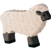 Schwarzkopfschaf von Gollnest & Kiesel KG