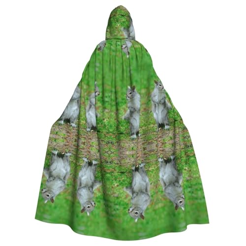 Gongjuy Eichhörnchen Partyumhang für Erwachsene, Halloween-Zauberer, Übergröße, Horror-Umhang mit Kapuze Gongjuy Eichhörnchen Partyumhang für Erwachsene, Halloween-Zauberer, Übergröße, Horror-Umhang mit Kapuze von Gongjuy