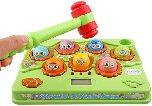 Goorder kinderSpielzeug ab 2 3 4 5 6 Jahre, Hammerspiel, Montessori Spielzeug für Kinders/Baby/Kleinkinder, Entwicklungskinderspiele Musik Klopfspiel, Lernspielzeug Geschenk für Jungen Mädchen Goorder kinderSpielzeug ab 2 3 4 5 6 Jahre, Hammerspiel, Montessori Spielzeug für Kinders/Baby/Kleinkinder, Entwicklungskinderspiele Musik Klopfspiel, Lernspielzeug Geschenk für Jungen Mädchen von Goorder