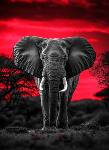 Afrika Puzzle 500 Teile, Holzpuzzles 52x38cm, Puzzle für Erwachsene und Kinder, DIY Groß Puzzelmatten, Premium Quality Klassische Wooden Jigsaw, Home Wand Dekor oder als Geschenk Mädche Elefant g-697 Afrika Puzzle 500 Teile, Holzpuzzles 52x38cm, Puzzle für Erwachsene und Kinder, DIY Groß Puzzelmatten, Premium Quality Klassische Wooden Jigsaw, Home Wand Dekor oder als Geschenk Mädche Elefant g-697 von Gooxehuu