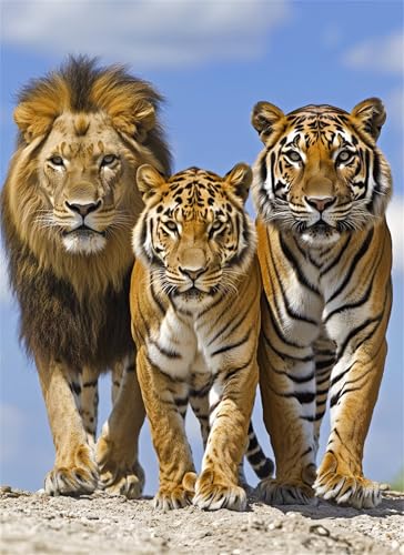 Löwe Puzzle 1500 Teile, Holzpuzzles 87x57cm, Puzzle für Erwachsene und Kinder 12 Jahren, DIY Groß Puzzelmatten, Premium Quality Klassische Wooden Jigsaw, Home Wand Dekor oder als Geschenk Tiger g-951 Löwe Puzzle 1500 Teile, Holzpuzzles 87x57cm, Puzzle für Erwachsene und Kinder 12 Jahren, DIY Groß Puzzelmatten, Premium Quality Klassische Wooden Jigsaw, Home Wand Dekor oder als Geschenk Tiger g-951 von Gooxehuu