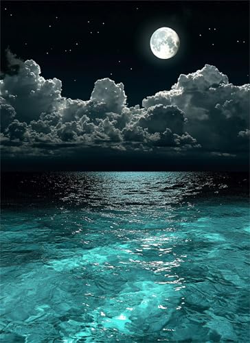 Mond Puzzle 3000 Teile, Holzpuzzles 122x81cm, Puzzle für Erwachsene und Kinder, DIY Groß Puzzelmatten, Premium Quality Klassische Wooden Jigsaw, Home Wand Dekor oder als Geschenk Mädche Ozean g-988 von Gooxehuu