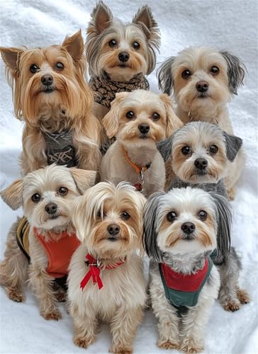 Puzzle 1000 Teile Hund Puzzle Erwachsene, Holzpuzzle Klassische Puzzles Tier Jigsaw Puzzles für Erwachsene und Kinder, Clevere Rätsel Wooden Jigsaw, Geschicklichkeitsspiel für die Ganze Familie g-719 von Gooxehuu