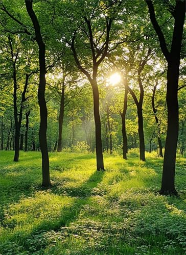 Puzzle 1000 Teile Wald Puzzle Erwachsene, Holzpuzzle Klassische Puzzles Sonnenlicht Jigsaw Puzzles für Erwachsene und Kinder, Clevere Rätsel Wooden Jigsaw, Geschicklichkeitsspiel für die Ganze g-941 Puzzle 1000 Teile Wald Puzzle Erwachsene, Holzpuzzle Klassische Puzzles Sonnenlicht Jigsaw Puzzles für Erwachsene und Kinder, Clevere Rätsel Wooden Jigsaw, Geschicklichkeitsspiel für die Ganze g-941 von Gooxehuu