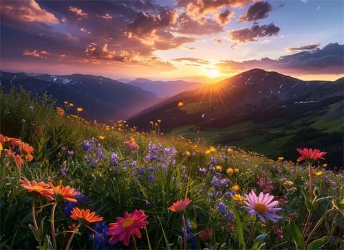 Puzzle 2000 Teile Sonnenuntergang Puzzle Erwachsene, Holzpuzzle Klassische Puzzles Blumenmeer Jigsaw Puzzles für Erwachsene, Clevere Rätsel Wooden Jigsaw, Geschicklichkeitsspiel für die Ganze g-300 Puzzle 2000 Teile Sonnenuntergang Puzzle Erwachsene, Holzpuzzle Klassische Puzzles Blumenmeer Jigsaw Puzzles für Erwachsene, Clevere Rätsel Wooden Jigsaw, Geschicklichkeitsspiel für die Ganze g-300 von Gooxehuu