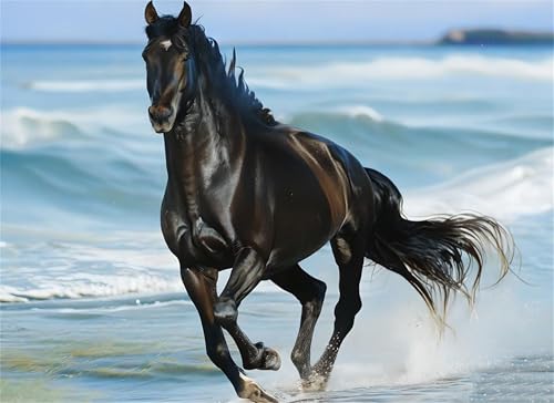 Puzzle 2000 Teile Strand Puzzle Erwachsene, Holzpuzzle Klassische Puzzles Pferd Jigsaw Puzzles für Erwachsene Kinder, Clevere Rätsel Wooden Jigsaw, Geschicklichkeitsspiel für die Ganze Familie g-163 Puzzle 2000 Teile Strand Puzzle Erwachsene, Holzpuzzle Klassische Puzzles Pferd Jigsaw Puzzles für Erwachsene Kinder, Clevere Rätsel Wooden Jigsaw, Geschicklichkeitsspiel für die Ganze Familie g-163 von Gooxehuu
