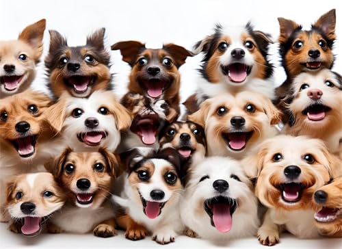 Puzzle 2000 Teile Tier Puzzle Erwachsene, Holzpuzzle Klassische Puzzles Hund Jigsaw Puzzles für Erwachsene und Kinder, Clevere Rätsel Wooden Jigsaw, Geschicklichkeitsspiel für die Ganze Familie g-88 von Gooxehuu