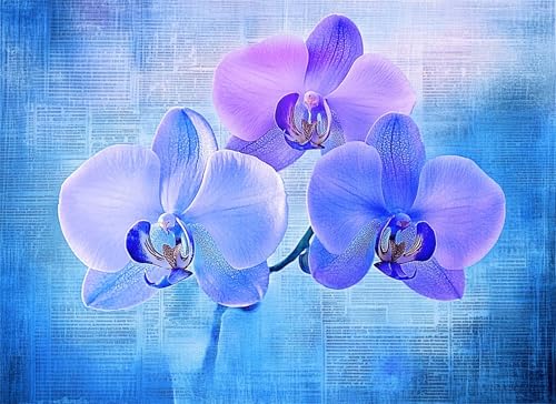 Puzzle 6000 Teile Blume Puzzle Erwachsene, Holzpuzzle Klassische Puzzles Abstrakt Jigsaw Puzzles für Erwachsene und Kinder, Clevere Rätsel Wooden Jigsaw, Geschicklichkeitsspiel für die Ganze g-209 Puzzle 6000 Teile Blume Puzzle Erwachsene, Holzpuzzle Klassische Puzzles Abstrakt Jigsaw Puzzles für Erwachsene und Kinder, Clevere Rätsel Wooden Jigsaw, Geschicklichkeitsspiel für die Ganze g-209 von Gooxehuu