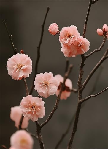 Puzzle 80 Teile Kirschblüten Puzzle Erwachsene, Holzpuzzle Klassische Puzzles Blume Jigsaw Puzzles für Erwachsene und Kinder, Clevere Rätsel Wooden Jigsaw, Geschicklichkeitsspiel für die Ganze g-981 Puzzle 80 Teile Kirschblüten Puzzle Erwachsene, Holzpuzzle Klassische Puzzles Blume Jigsaw Puzzles für Erwachsene und Kinder, Clevere Rätsel Wooden Jigsaw, Geschicklichkeitsspiel für die Ganze g-981 von Gooxehuu