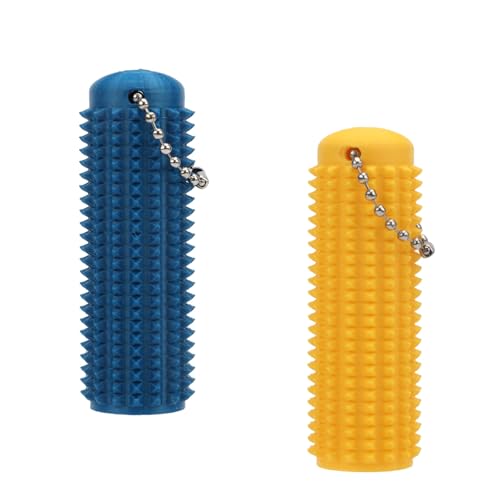 Gosknor 2stk Zappel-Schlüsselanhänger mit Strukturiertem Griff, Sensorisches Stimulationsspielzeug mit Erhöhten Elementen zum Stressabbau und zur Konzentration Geschenk für Erwachsene (Gold, Blau) von Gosknor