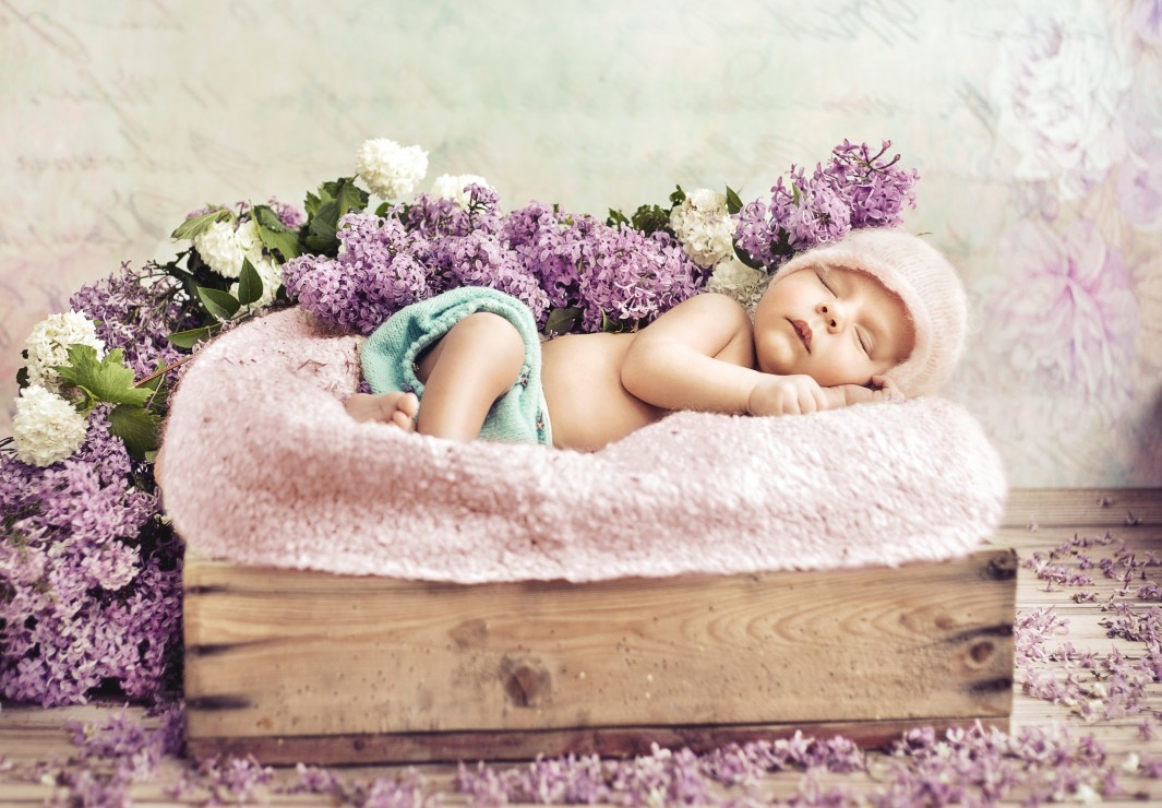 Grafika Kids Konrad Bak: Baby sleeping in the Lilac 12 Teile Puzzle Grafika-F-31100 Grafika Kids Konrad Bak: Baby sleeping in the Lilac 12 Teile Puzzle Grafika-F-31100 von Grafika Kids