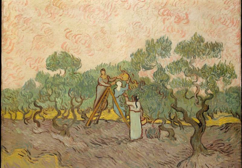 Grafika Kids Van Gogh: Women Picking Olives,1889 24 Teile Puzzle Grafika-F-31637 von Grafika Kids