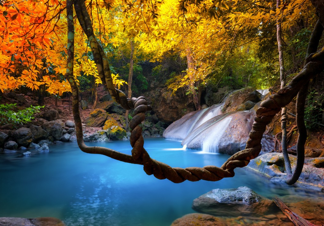 Grafika Kids Wasserfall im Wald 24 Teile Puzzle Grafika-F-31676 von Grafika Kids