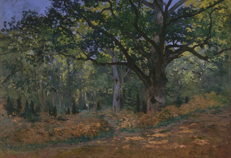 Grafika Kids XXL Teile - Claude Monet: Fontainebleau, 1865 12 Teile Puzzle Grafika-Kids-00475 von Grafika Kids