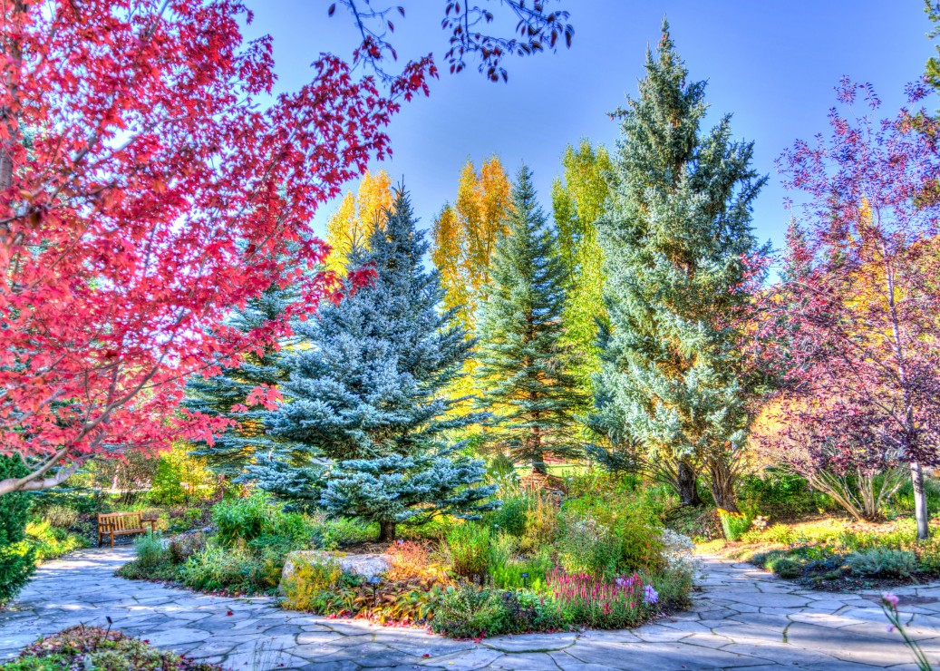 Grafika Bunter Wald, Colorado, USA 500 Teile Puzzle Grafika-F-32262 Grafika Bunter Wald, Colorado, USA 500 Teile Puzzle Grafika-F-32262 von Grafika