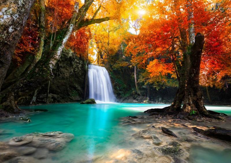 Grafika Deep Forest Waterfall 1500 Teile Puzzle Grafika-F-30049 von Grafika