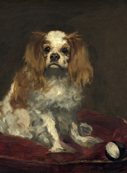 Grafika Edouard Manet: A King Charles Spaniel, 1866 2000 Teile Puzzle Grafika-F-30469 von Grafika
