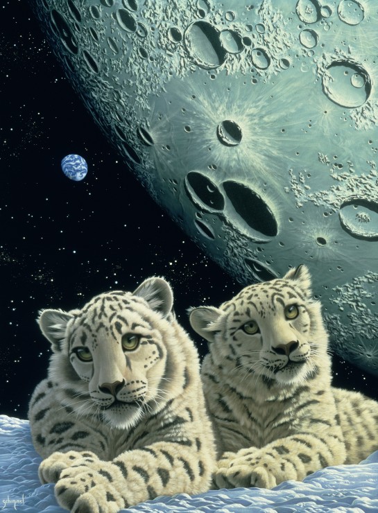 Grafika Schim Schimmel - Lair of the Snow Leopard 2000 Teile Puzzle Grafika-F-30687 von Grafika