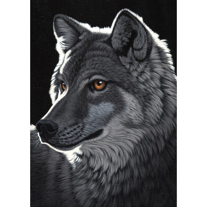 Grafika - Schim Schimmel - Night Wolf - 1000 Teile von Grafika