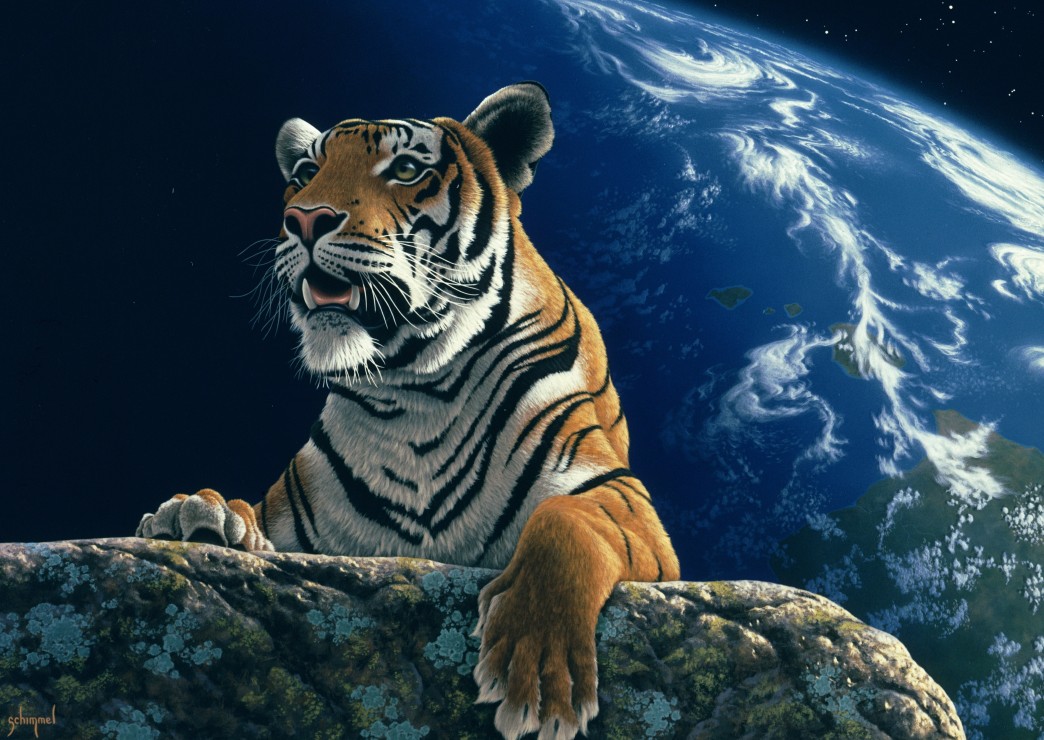 Grafika Schim Schimmel - Only One Home 2000 Teile Puzzle Grafika-F-30079 von Grafika