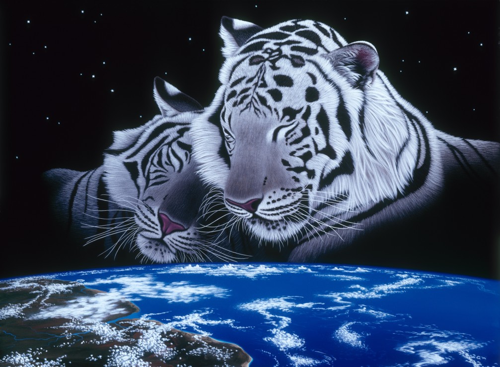 Grafika Schim Schimmel - Sleep Tight 2000 Teile Puzzle Grafika-F-30688 von Grafika