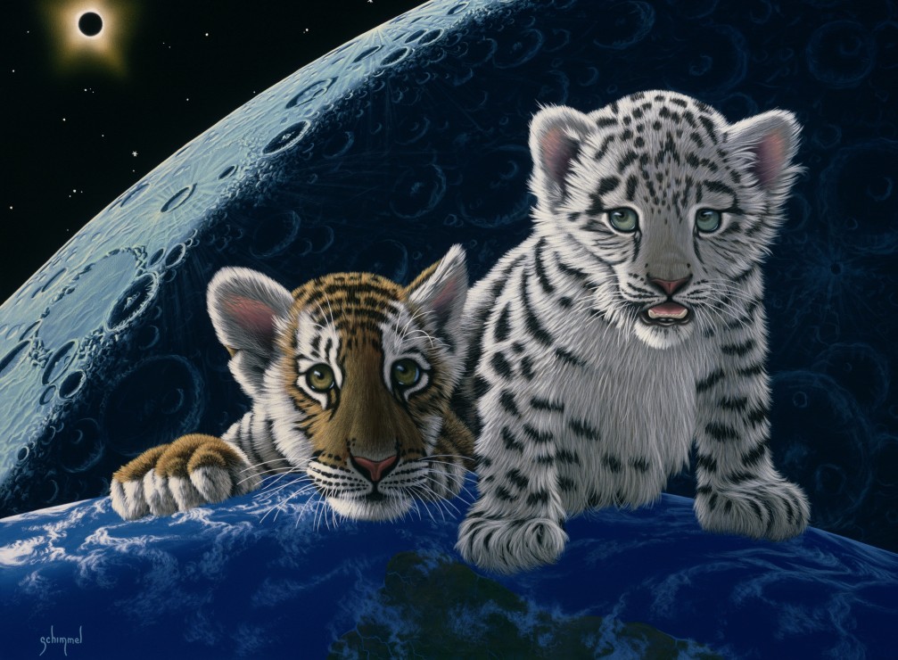 Grafika Schim Schimmel - Total Eclipse 2000 Teile Puzzle Grafika-F-30683 von Grafika