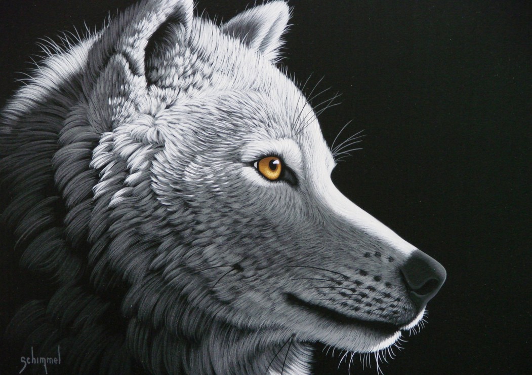 Grafika Schim Schimmel - Wolf Light 1500 Teile Puzzle Grafika-T-00408 Grafika Schim Schimmel - Wolf Light 1500 Teile Puzzle Grafika-T-00408 von Grafika