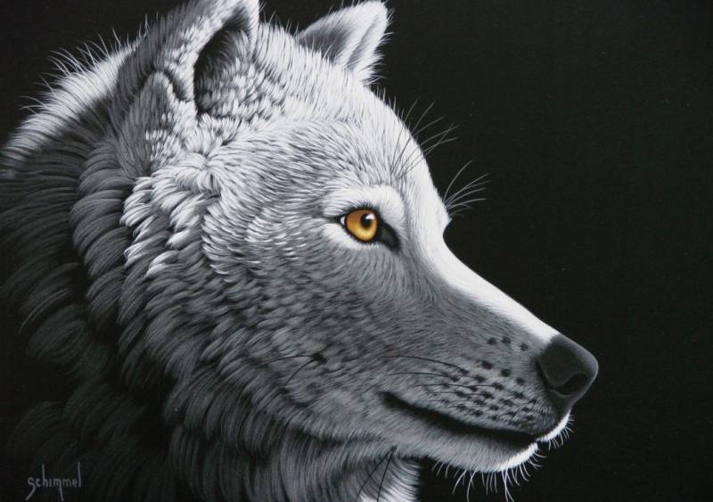Grafika Schim Schimmel - Wolf Light 1500 Teile Puzzle Grafika-T-00408 von Grafika