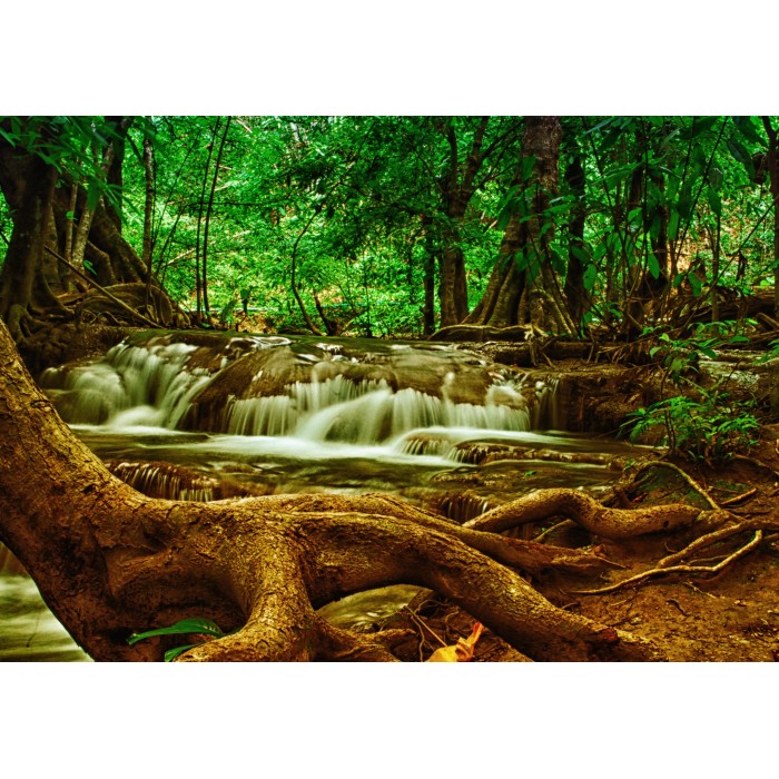 Grafika Wasserfall im Wald von Grafika