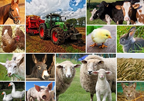 Puzzle 1500 Teile – Collage – Bauernhoftiere von Grafika