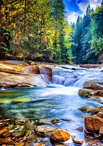 Puzzle 2000 Teile - Schöner Wasserfall im Wald von Grafika