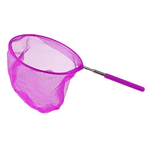 Gralara Ausziehbares Kinder Fernrohr Schmetterlingsnetz, Spielzeug, Insekten, Insekten, Netz, Lila, 20cm von Gralara