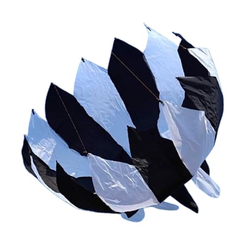 Gralara Drachen für Kinder, Fliegende Modelle, Parafoil Sportartikel, Großer 3D Drachen für Anfänger Im Freien, Schwarz-Weiss Gralara Drachen für Kinder, Fliegende Modelle, Parafoil Sportartikel, Großer 3D Drachen für Anfänger Im Freien, Schwarz-Weiss von Gralara