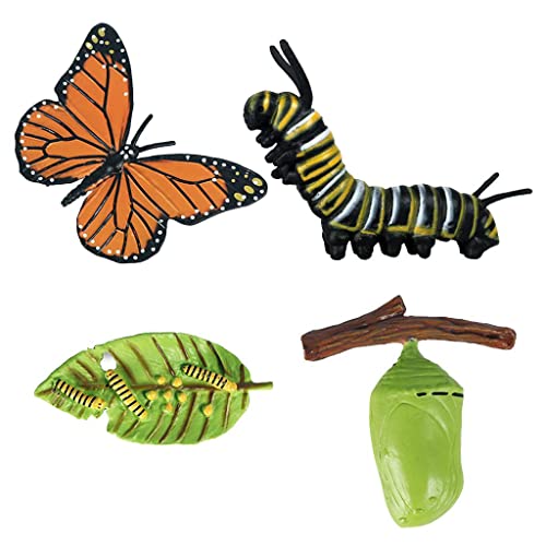 Gralara Naturwunder Schmetterlinge Entwicklungsphasen Kinder Lernspielzeug von Gralara