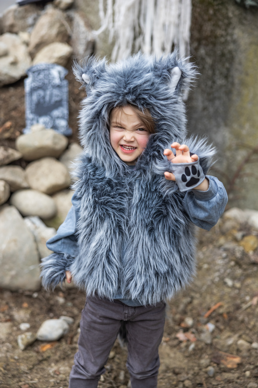Die Große Böse Wolf Weste – Für kleine Abenteurer mit wilder Seite! für 5-6 Jahre Die Große Böse Wolf Weste – Für kleine Abenteurer mit wilder Seite! für 5-6 Jahre von Great Pretenders