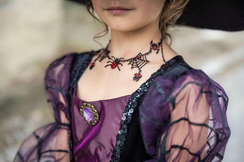 Spinnennetz-Halskette – Gruseliger Schmuck für Halloween & Karneval von Great Pretenders