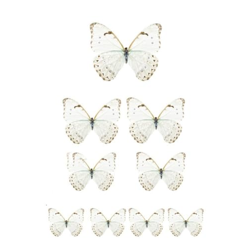 GreatRise 50 Stück 3D Schmetterling Kuchen Torten Deko Set zum DIY Dreidimensional Tortendeko Geburtstag Kuchendeko Tortenaufleger für Party Taufe Hochzeitstorte Dessert Cupcake Toppers #7 Creme-Weiß GreatRise 50 Stück 3D Schmetterling Kuchen Torten Deko Set zum DIY Dreidimensional Tortendeko Geburtstag Kuchendeko Tortenaufleger für Party Taufe Hochzeitstorte Dessert Cupcake Toppers #7 Creme-Weiß von GreatRise