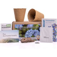 Anzuchtset für Vergissmeinnicht Blumen, 5-teilig mit Anleitung Anzuchtset für Vergissmeinnicht Blumen, 5-teilig mit Anleitung von Greenava