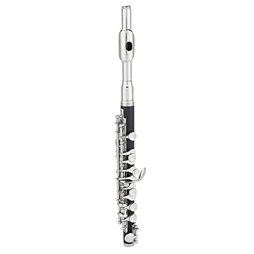 Greensen 2 Farben Piccolo Ottavino Halbgröße Flöte Plattiert C -Schlüssel - Erstaunlicher Sound, Einfacher Speicher ABS + Cupronickel (golden) (Silver) von Greensen