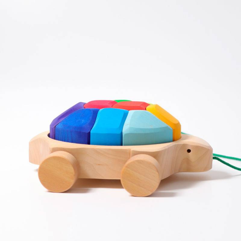 Grimm&#039;s Regenbogen Schildkröte - von Grimm&#039;s