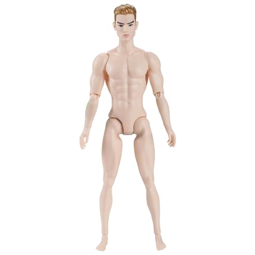 Grtheenumb 1/6 Skala Actionfigur Multi -Gelenk -Fähigkeit männlicher muskulärer Aktion Figure Körper mit Kopf für Display -Puppensammlung, weiß von Grtheenumb